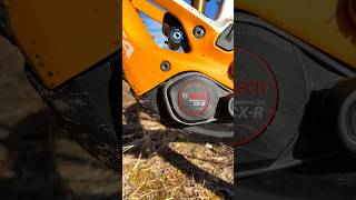 CX oder CX Race - WELCHER IST TATSÄCHLICH DER BESTE MOTOR VON BOSCH ? #EMTB #BoschCX