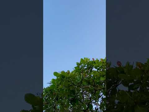 El Porvenir, Santa Ana.