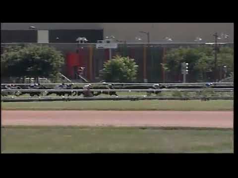 21/06 TOULOUSE: PRIX FERNAND FLOTTES - WATHBA STALLIONS CUP