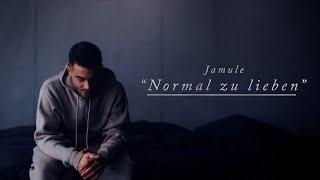 Musik-Video-Miniaturansicht zu Normal zu lieben Songtext von Jamule