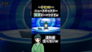 猫猫が『ニュースキャスター』違和感なさすぎてヤバイwww【トモコレ】【トモダチコレクション わくわく生活】【薬屋のひとりごと】 #トモコレ #実況 #shorts #アニメ