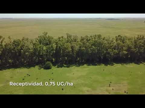 Campo en Tapalqué, Buenos Aires / L. J. Ramos Brokers Inmobiliarios