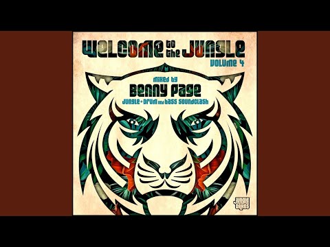 Bongo Bong (Original Mix)