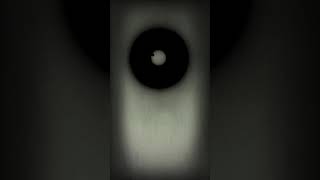 see