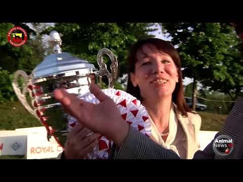 International Dog Show Ercolano 2018 - Teaser