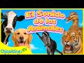 El Sonido De Los Animales Canción Infantil 15 Minutos