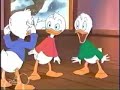 Louie Duck Fat