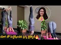 Actress Pragya Jaiswal Special Yoga Workout Video Andhra Life Tv