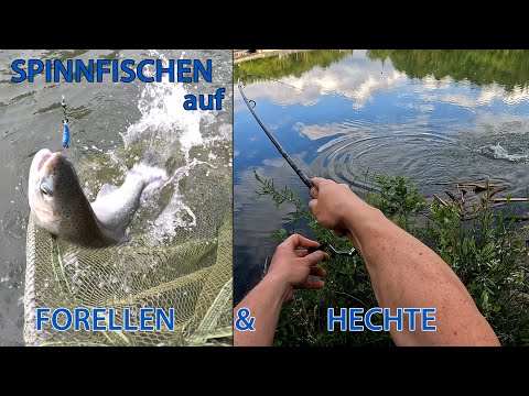 Spinnfischen auf Mur-Hecht und Forelle  •  Catch & Cook