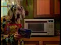Sesame Street Wegman S Dogs Popcorn Japanese Dub