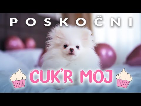 POSKOČNI - CUK'R MOJ (Official Video) 2022