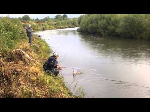 Moldova Trout Cup, Zona A