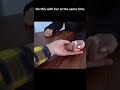 Couple Handshake Cute Handshake