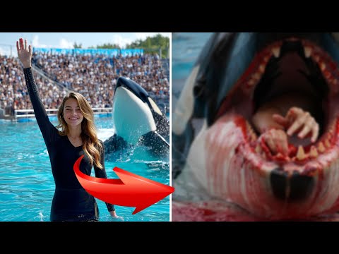 The TERRIFYING Last Moments of Orca Trainer Jessica "Jess" Carter