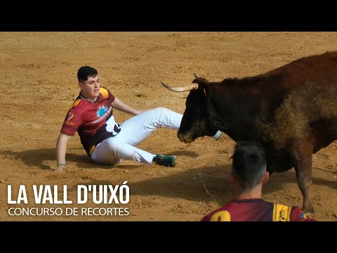La Vall D’uixó 2025 Concurso de Recortes