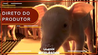 Miniatura do vídeo