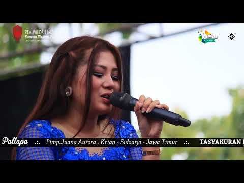 SAWANGEN AYU ARSITA NEW  PALLAPA LIVE GEMBLUNG SUKOLILO 2018