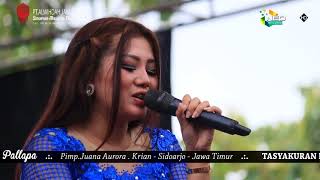SAWANGEN AYU ARSITA NEW PALLAPA LIVE GEMBLUNG SUKOLILO 2018