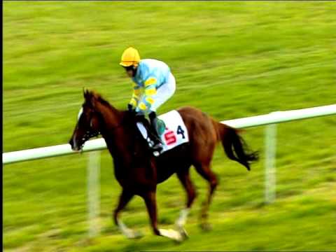 Galopprennbahn Dresden - 04.10.2015 - 2.Rennen