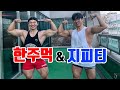 지피티에게 한주먹루틴을 전수하다.