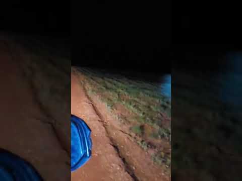 Onça vista em Santa Luzia Maranhão