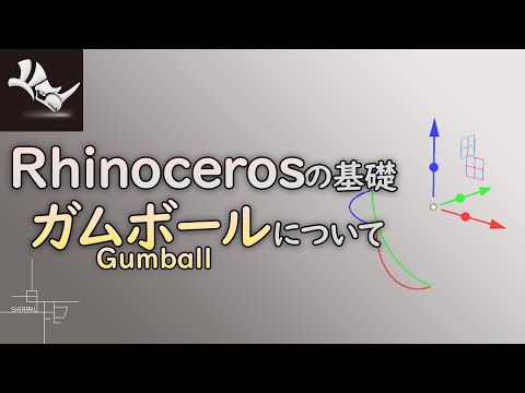 Rhinochelyについて詳しく解説