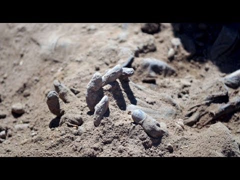 NAMNA TUTAKAVYOFUFULIWA SIKU YA QIYAMA SEHEMU YA TATU.  Dr  Islam Muhammad Salim