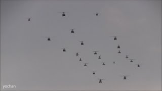 preview picture of video 'Formation Flight.Military Helicopter(Army Aviation Group)at Tokyo,Japan'