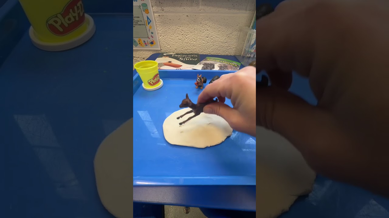 Here’s a glimpse of one of our preschool science center trays for January! We’re exploring