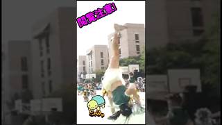 ファイト?です！ #ピタ止め #かわいい #チアリーダー