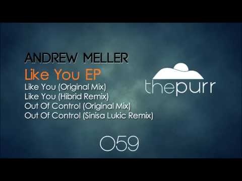 Andrew Meller - Like You (Hibrid Remix)