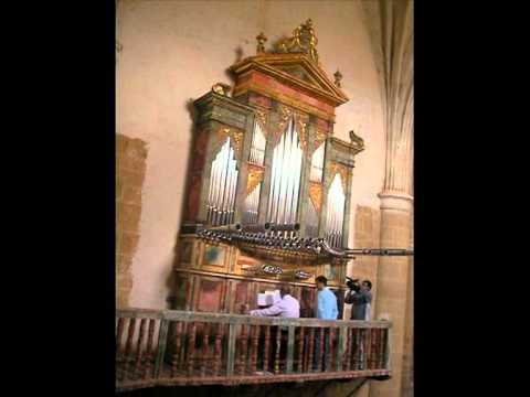 Órgano de Villaveta.mpg