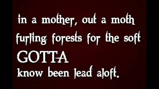 Bon Iver - Perth with Lyrics