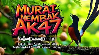 Download lagu MURAI NEMBAK KASAR TAJAM!! PANCING EMOSI MASTERAN!! mp3 Download lagu MURAI NEMBAK KASAR TAJAM!! PANCING EMOSI MASTERAN!! mp3