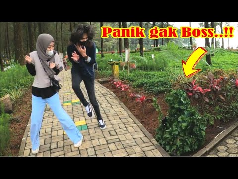 panik-ga-panik-ga-ya-paniklah-masa-enggak-funny-bushman-prank-1