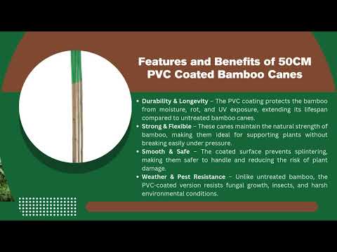 Videos from Vantide Bamboo