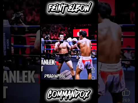 CommandoX | Feint Elbow | #trending #tutorial #boxing #martialarts #mma #ufc #youtubeshorts #shorts