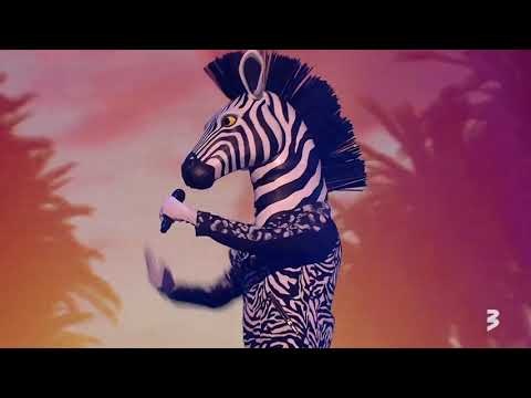 "Balss maskā", Zebra // Papa Carlo