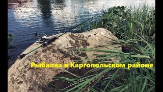 Рыбалка каргопольского района архангельской области