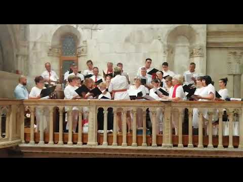 Katedralni zbor Sv  Jakov Šibenik 3