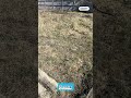 Видео превью