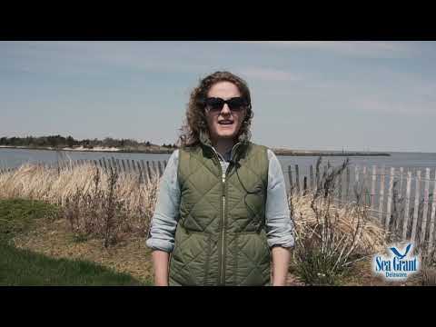 15 Second Science — Derelict Crab Pots