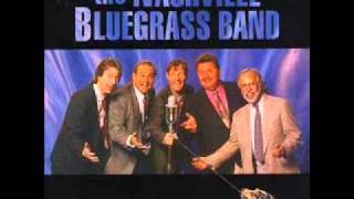 The Nashville Bluegrass Band - Last Month of the Year