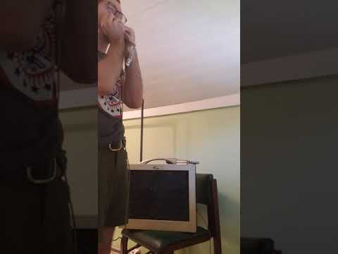 Electro-Voice Model 623 Blues Harmonica Microphone