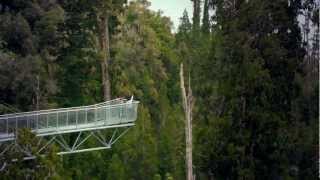 preview picture of video 'West Coast Treetop Walk, New Zealand'