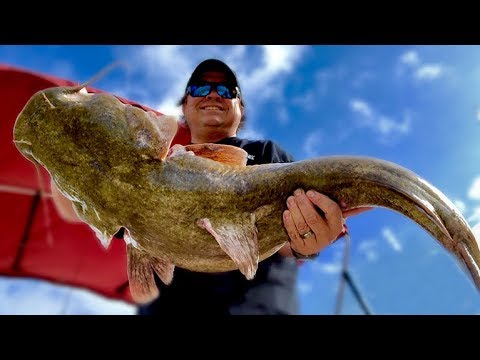 FLATHEAD CATFISH When The Water Is Rising