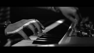 Lotus Land - Bamboo Grass - MV