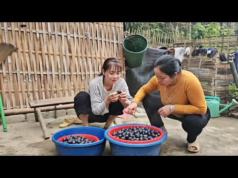 Yen Chi and her mother soak palm fruits in warm water to ripen them before selling them