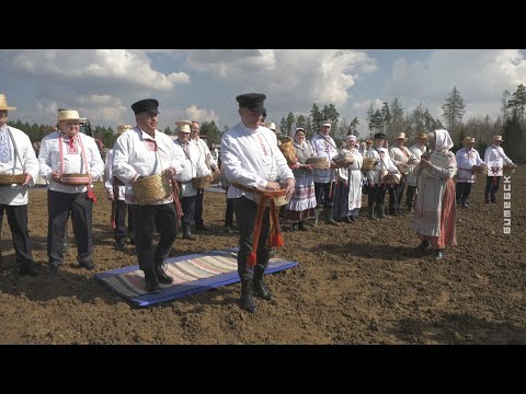 Обряд "Засевки" прошел в Оршанском районе