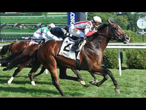 John Nerud - Horse Lovers